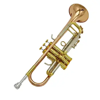 Висококачествен фосфор-бронзов B-key професионален тръбен инструмент с ограничител на дълбочината на звука на професионално ниво, издълбани от Тръба рог