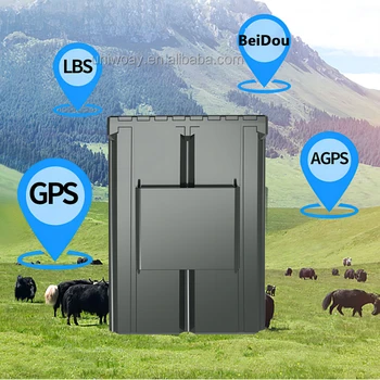 Водоустойчив gps тракер с помощта на Animal C035-CAT1 4G COW, 20000 ма, GPS тракер с сверхдлинным режим на готовност, 4g